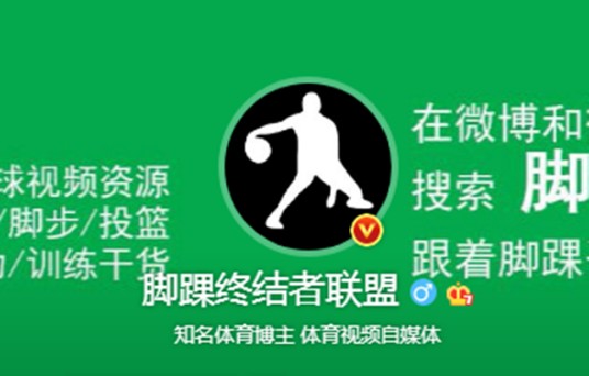 脚踝终结者联盟