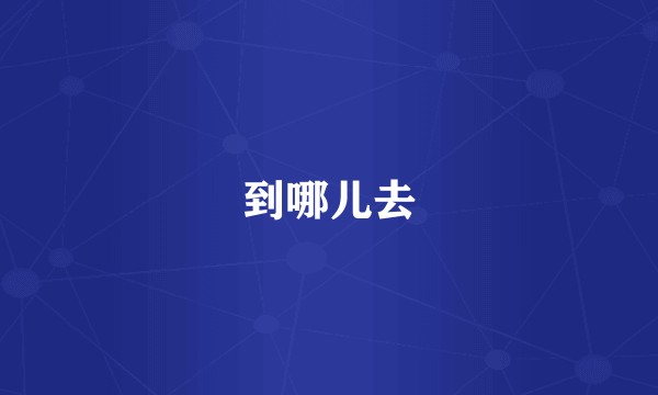 到哪儿去
