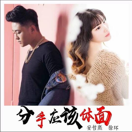 分手应该体面（安哲熙、徐环演唱的歌曲）