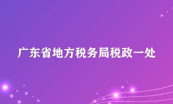 广东省地方税务局税政一处