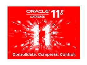 Oracle 11g 简化版