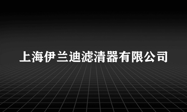 上海伊兰迪滤清器有限公司