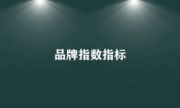 品牌指数指标