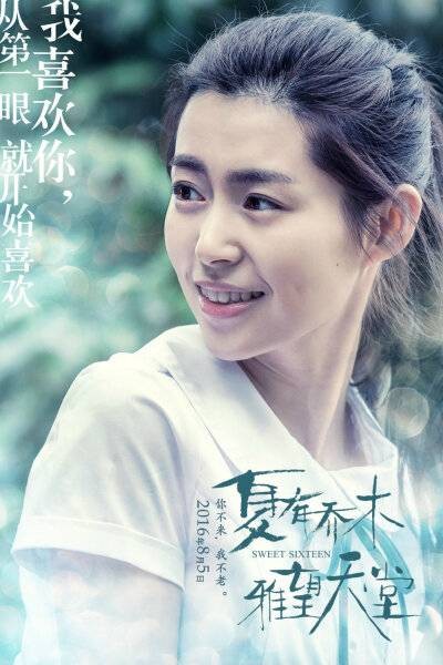 夏有乔木雅望天堂(2016年赵真奎执导的青春爱情电影)