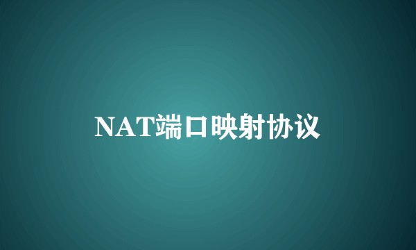 NAT端口映射协议