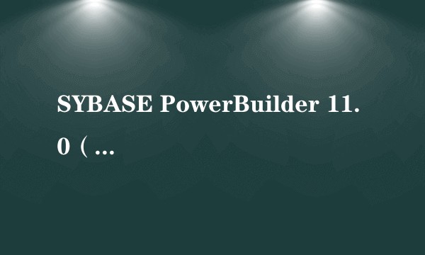 SYBASE PowerBuilder 11.0（企业版）