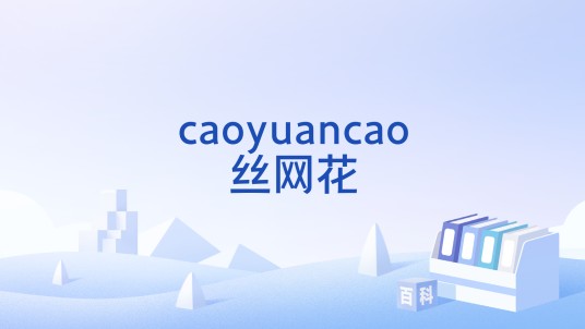 caoyuancao丝网花