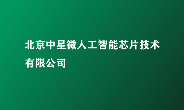 北京中星微人工智能芯片技术有限公司