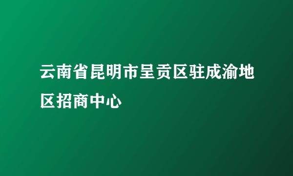 云南省昆明市呈贡区驻成渝地区招商中心