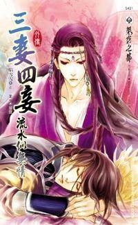 三妻四妾外传