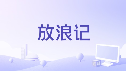 放浪记（2016年关锦鹏导演电影）