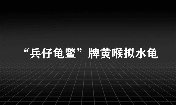 “兵仔龟鳖”牌黄喉拟水龟