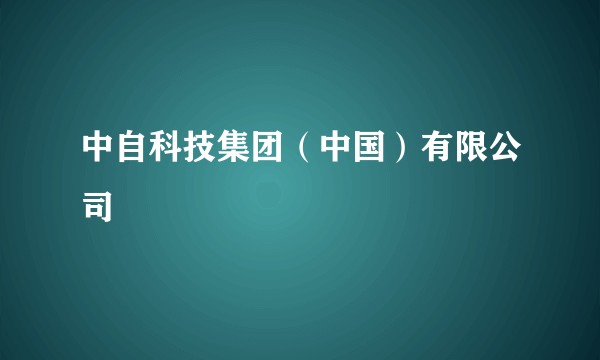 中自科技集团(中国)有限公司