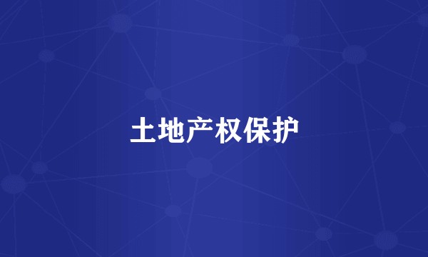 土地产权保护