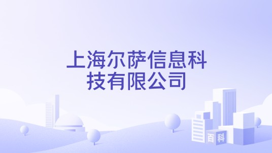 上海尔萨信息科技有限公司