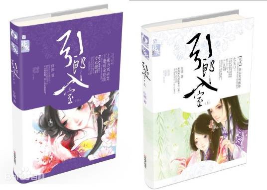 引郎入室（2011年珠海出版社出版的图书）