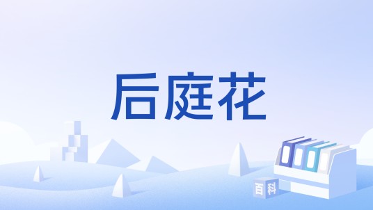 后庭花（词牌名）