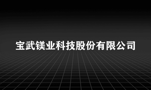 宝武镁业科技股份有限公司