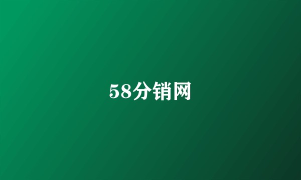 58分销网