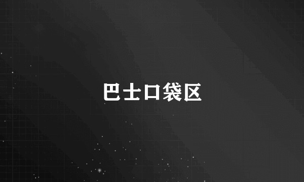 巴士口袋区