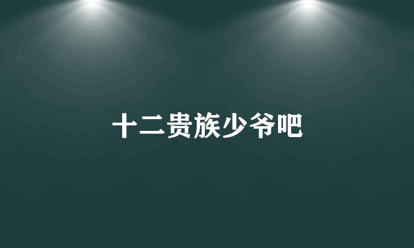 十二贵族少爷吧