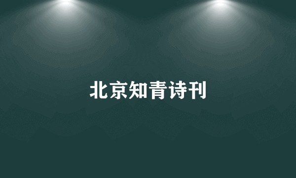 北京知青诗刊