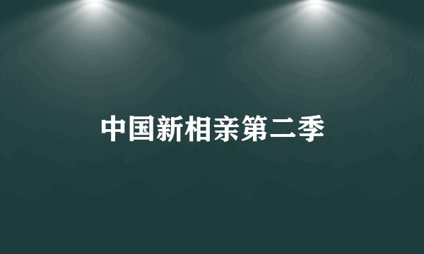 中国新相亲第二季