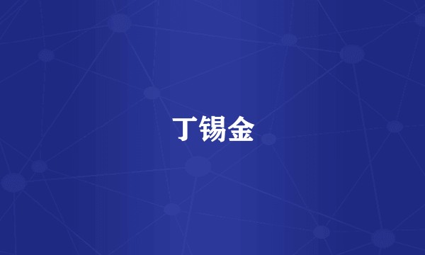 丁锡金
