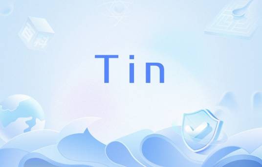 Tin（纳税标识号的英文缩写）
