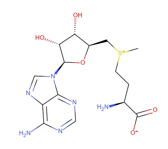 S-腺苷蛋氨酸