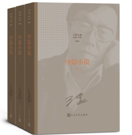 王蒙文集之：中篇小说（上中下）