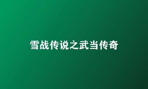 雪战传说之武当传奇