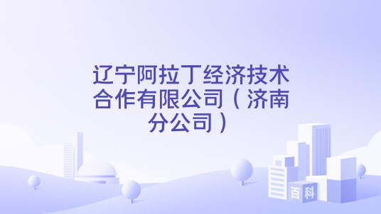 辽宁阿拉丁经济技术合作有限公司(济南分公司)