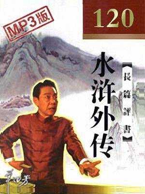水浒外传（单田芳创作的评书作品）