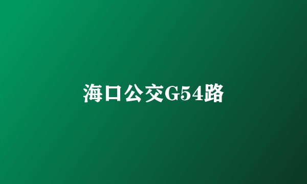 海口公交G54路