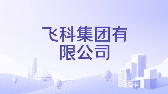 飞科集团有限公司