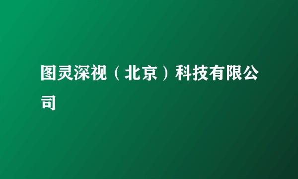 图灵深视（北京）科技有限公司