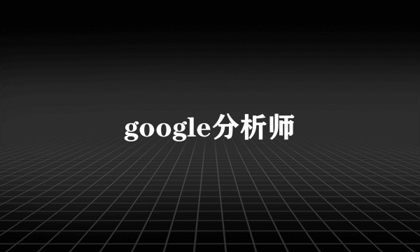 google分析师