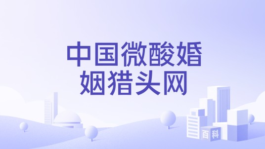 中国微酸婚姻猎头网