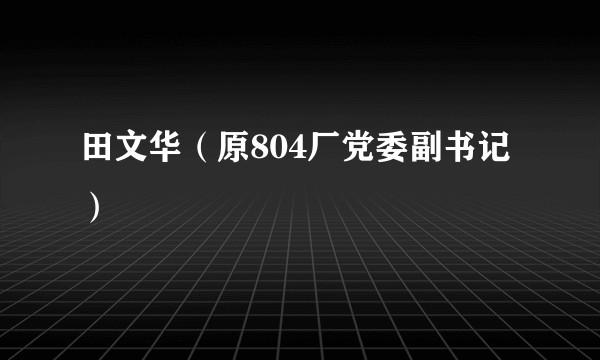 田文华（原804厂党委副书记）