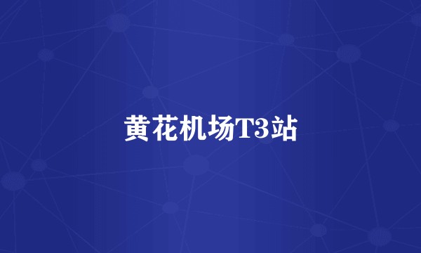 黄花机场T3站