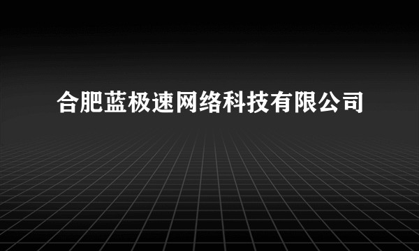合肥蓝极速网络科技有限公司