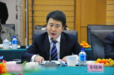 朱晓林（原中国多金属矿业有限公司首席执行官）