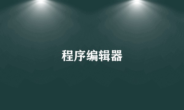 程序编辑器
