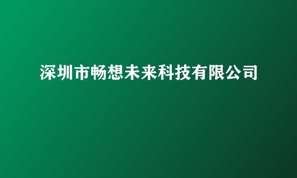 深圳市畅想未来科技有限公司