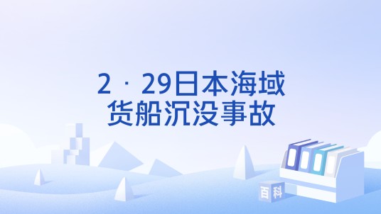 2·29日本海域货船沉没事故