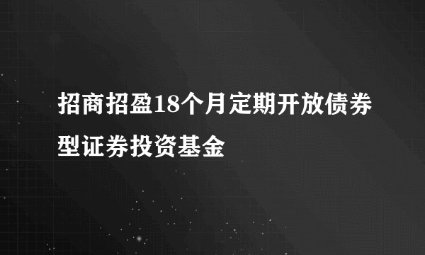 招商招盈18个月定期开放债券型证券投资基金