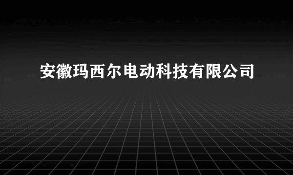 安徽玛西尔电动科技有限公司