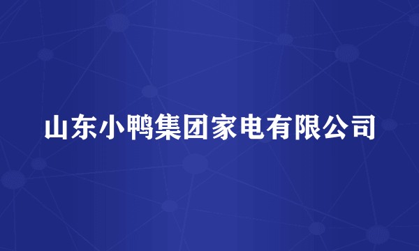 山东小鸭集团家电有限公司
