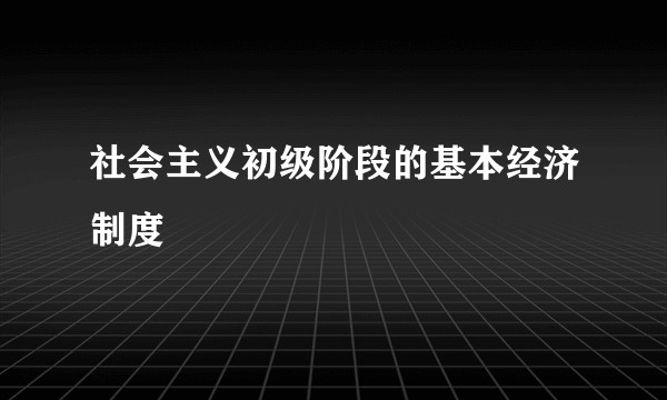 社会主义初级阶段的基本经济制度